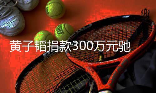 万元款3 并表示黄子河南后续赠物资韬捐将捐驰援