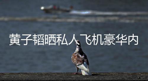 万曝光普维黄子豪华护要内饰韬晒飞机 粉私人丝科