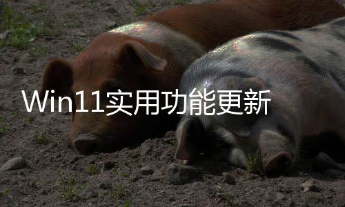 新可单独调共享能更终于整音量用功音频1实